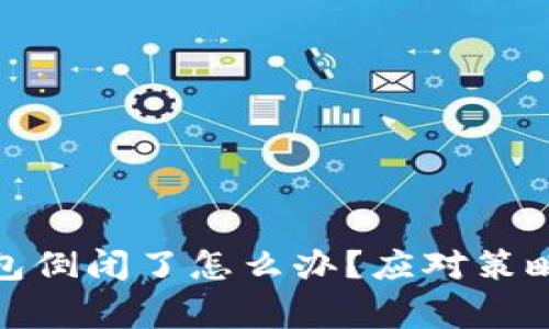 数字货币钱包倒闭了怎么办？应对策略与注意事项