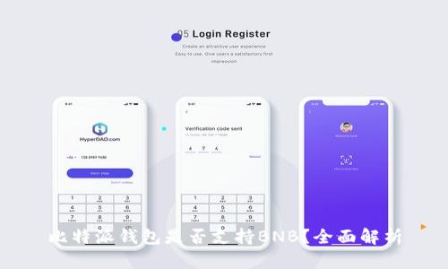 比特派钱包是否支持BNB？全面解析
