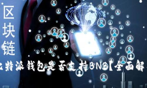 比特派钱包是否支持BNB？全面解析