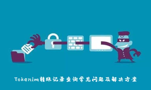 Tokenim转账记录查询常见问题及解决方案
