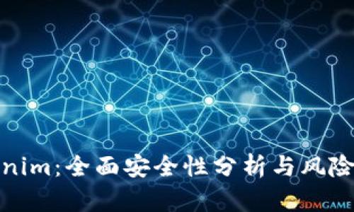 Tokenim：全面安全性分析与风险评估