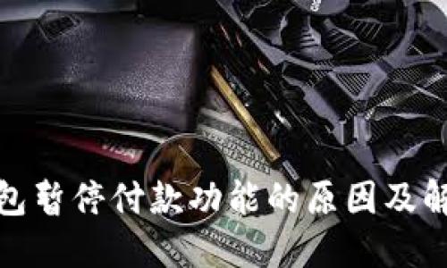 数字钱包暂停付款功能的原因及解决方案