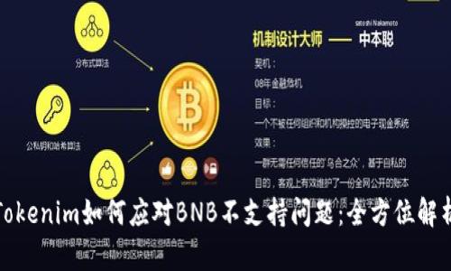 Tokenim如何应对BNB不支持问题：全方位解析
