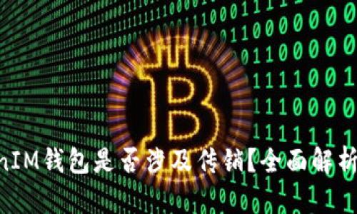 TokenTokenIM钱包是否涉及传销？全面解析与用户指南