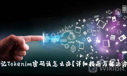 忘记Tokenim密码该怎么办？详细指南与解决方案