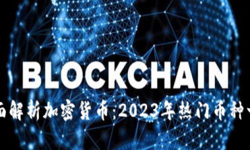 全面解析加密货币：2023年热门币种一览