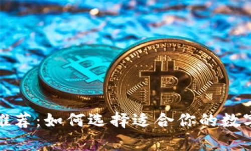 数字货币钱包推荐：如何选择适合你的数字资产储存工具