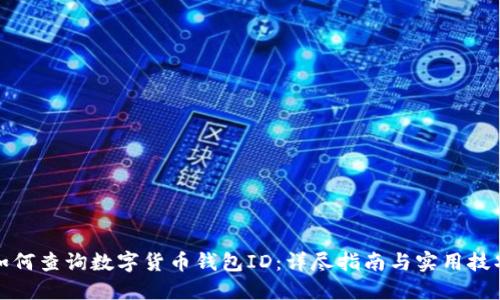 如何查询数字货币钱包ID：详尽指南与实用技巧