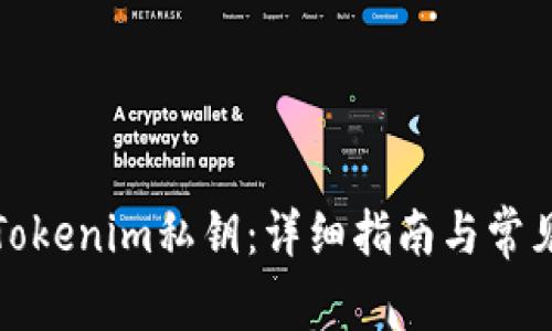 如何找回Tokenim私钥：详细指南与常见问题解答