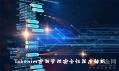 Tokenim密钥管理安全性深度