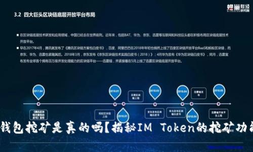 IM Token钱包挖矿是真的吗？揭秘IM Token的挖矿功能与安全性