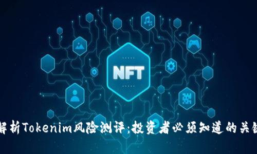 全面解析Tokenim风险测评：投资者必须知道的关键因素