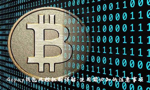 Gopay钱包风控机制详解：使用前必知的注意事项