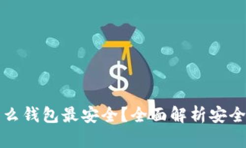虚拟币用什么钱包最安全？全面解析安全钱包的选择
