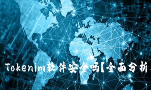 ### Tokenim软件安全吗？全面分析与解读