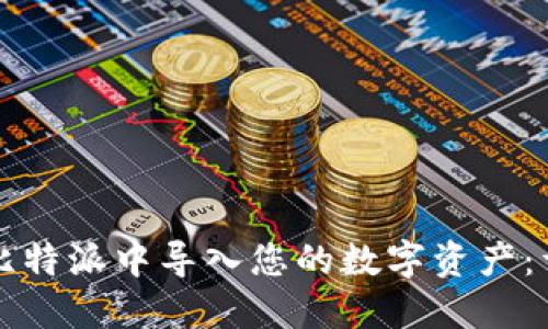 如何在比特派中导入您的数字资产：详尽指南