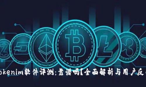 Tokenim软件评测：靠谱吗？全面解析与用户反馈
