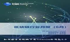 如何安全高效地下载Toke