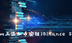 如何在Tokenim上添加币安链