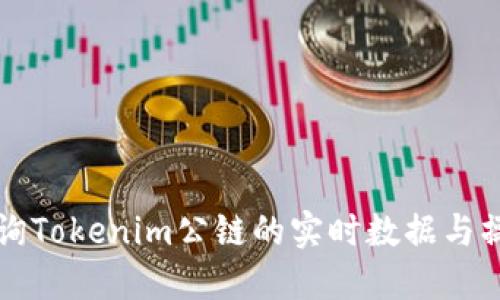如何查询Tokenim公链的实时数据与操作指南