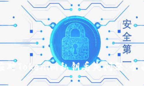 如何应对Tokenim私钥丢失问题：全面指南
