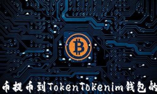 
如何将屎币提币到TokenTokenim钱包的详细指南