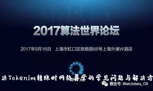 解决Tokenim转账时网络异常的常见问题与解决方案