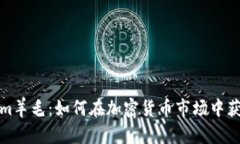 Tokenim羊毛：如何在加密货