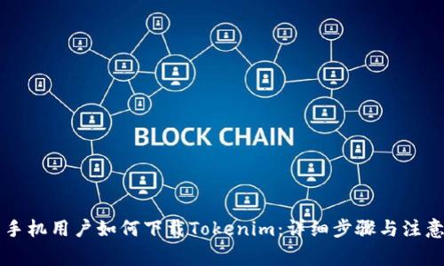 国内手机用户如何下载Tokenim：详细步骤与注意事项