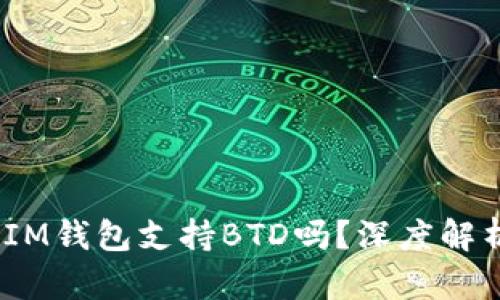 TokenTokenIM钱包支持BTD吗？深度解析与使用指南