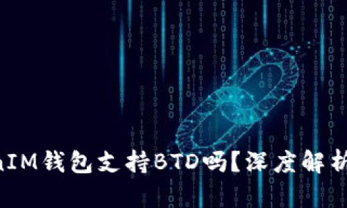 TokenTokenIM钱包支持BTD吗？深度解析与使用指南