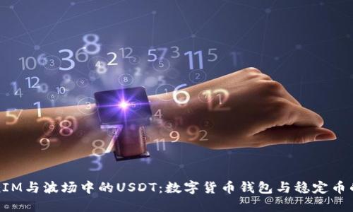 理解TokenIM与波场中的USDT：数字货币钱包与稳定币的完美结合