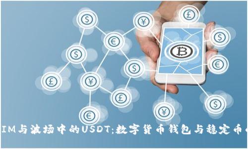 理解TokenIM与波场中的USDT：数字货币钱包与稳定币的完美结合