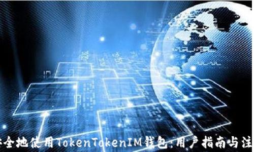 
如何安全地使用TokenTokenIM钱包：用户指南与注意事项
