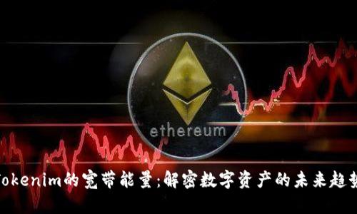 Tokenim的宽带能量：解密数字资产的未来趋势