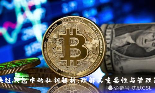 区块链钱包中的私钥解析：理解其重要性与管理策略