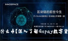 ### Gopay是什么币？深入了