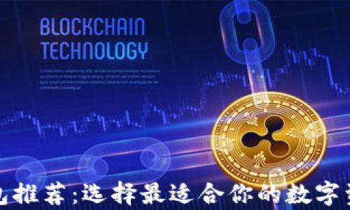 
数字货币钱包推荐：选择最适合你的数字资产存储方案