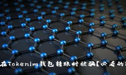 如何防止在Tokenim钱包转账时被骗？必看的安全指南！