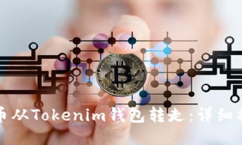 如何将币从Tokenim钱包转走：详细操作指南