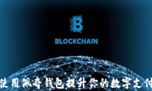 
如何使用佩奇钱包提升你的数字支付体验