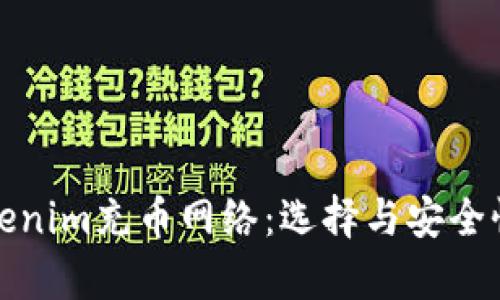 全面解析Tokenim充币网络：选择与安全性的最佳方案
