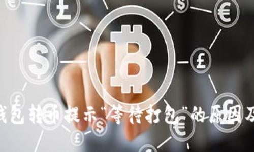 Tokenim钱包转币提示“等待打包”的原因及解决方案