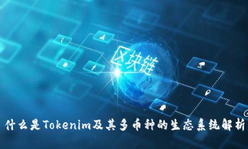 什么是Tokenim及其多币种的生态系统解析