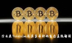 什么是Tokenim及其多币种的
