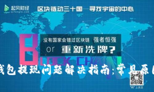 数字币钱包提现问题解决指南：常见原因与对策