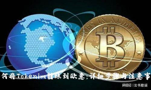 如何将Tokenim转账到欧意：详细步骤与注意事项
