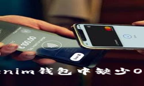 如何解决Tokenim钱包中缺少ONT资产的问题