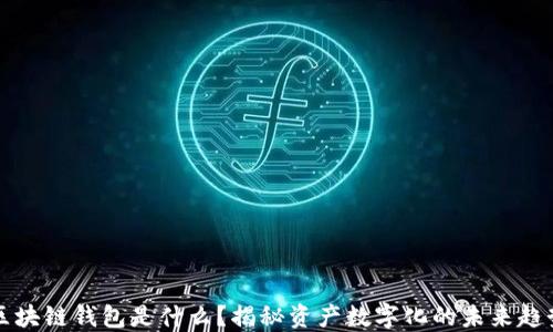 
区块链钱包是什么？揭秘资产数字化的未来趋势