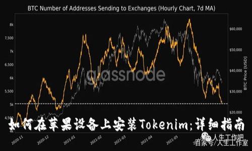 如何在苹果设备上安装Tokenim：详细指南